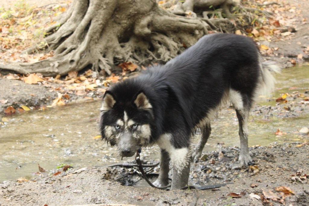 The Erotic Value of Our&nbsp;Lives